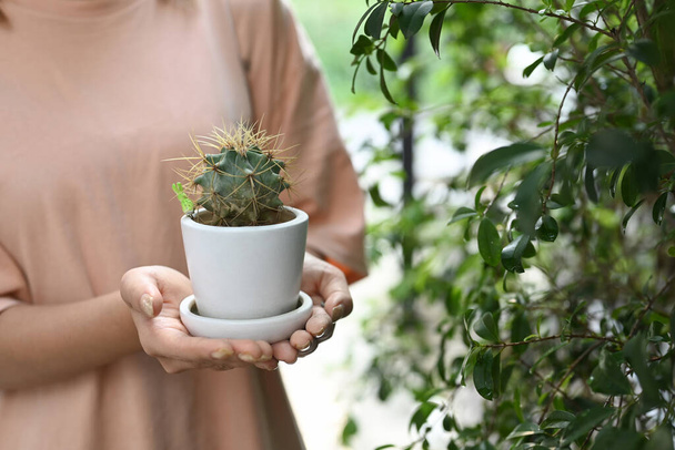 Young woman hands holding cactus pot. Environment protection, take care of plants concept. - Foto, immagini