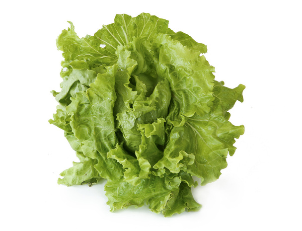 lettuce on white background - Photo, Image