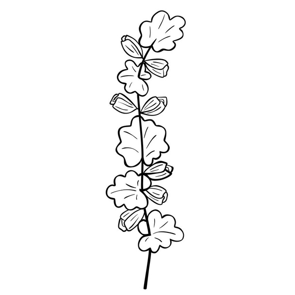 Hand drawn flower isolated on white background. Vector floral summer element. Decorative doodle sketch illustration. - Vektor, kép