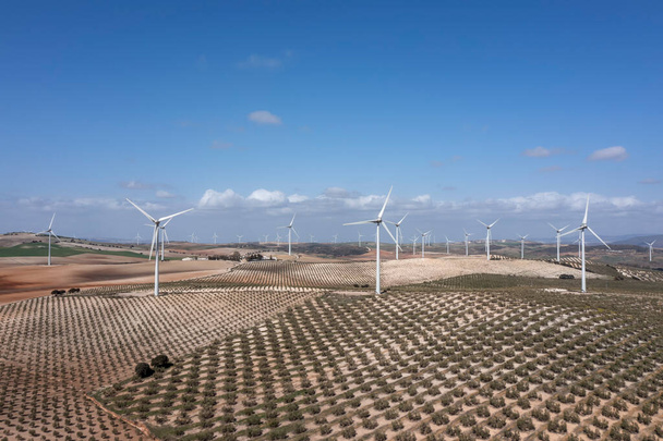 поле с ветряными мельницами для возобновляемых источников энергии - Фото, изображение