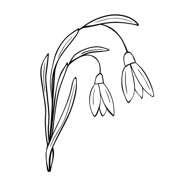 Hand drawn flower isolated on white background. Vector floral summer element. Decorative doodle sketch illustration. - Vektor, obrázek