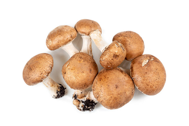 Champignon mushrooms on white background, space for text - Foto, afbeelding