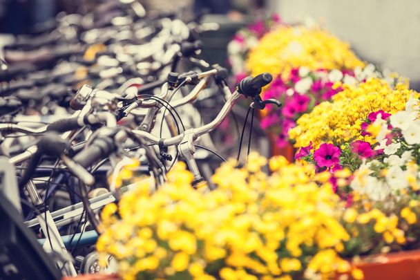 Kerékpár parkoló és virágok Amszterdamban. - Fotó, kép
