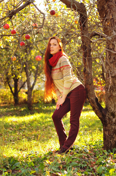 Молодая рыжая женщина с длинными прямыми волосами в яблочном гарде
 - Фото, изображение