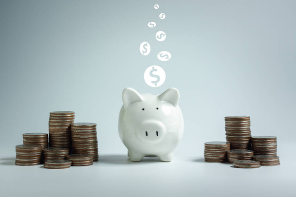Pig piggy bank and rows of money coins are placed around on white background. Concept saving money, growth, economic, funds, bonds, dividends, interest, business, financial and investment. - Foto, imagen