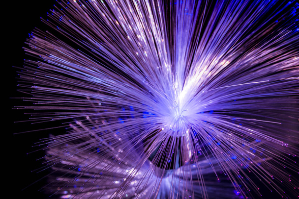 Illuminated optical fibers closeup in dark back - Valokuva, kuva