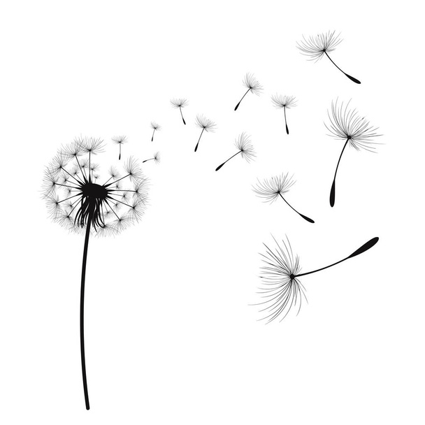 Vector illustration dandelion time. Black Dandelion seeds blowing in the wind. The wind inflates a dandelion isolated on white background. - Вектор, зображення