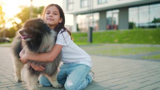 Chica morena abraza a un perro esponjoso al atardecer al aire libre. Movimiento lento - Metraje, vídeo