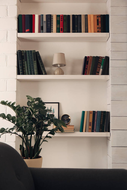 Shelves with different books and decor on light wall - Foto, immagini