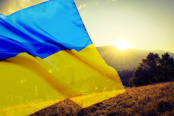 Double exposure of Ukrainian flag and picturesque mountain landscape on sunny day - 写真・画像