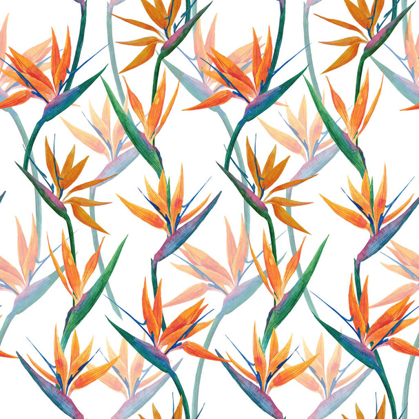 Watercolor seamless pattern with flowers of strelitzia. Bird of paradise. Bright illustration of tropical plant perfect for fabric and textile, wallpaper, wrapping paper, cover, package. - Foto, Bild