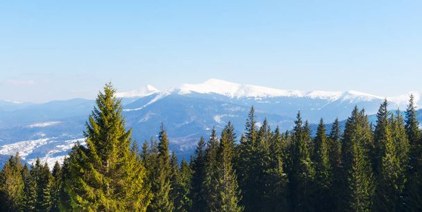 Μπάνερ. Σκηνή. Χιονισμένο βουνό κορυφή, θέα μέσα από το πευκοδάσος. Η έννοια του τουρισμού στα βουνά. Οριζόντια κατεύθυνση. - Φωτογραφία, εικόνα