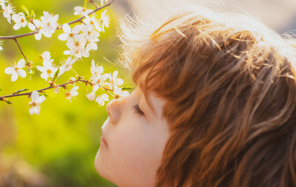 Cute child sniffs blooming tree. Summer kid in blossom garden. - Foto, Imagem