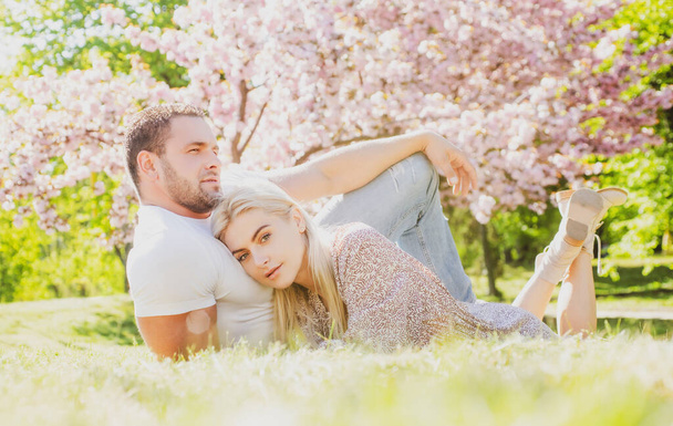 Couple relaxing on grass in blossom park. Valentines day concept. Spring couple. Outdoor portrait of young lovers couple near sakura. - 写真・画像