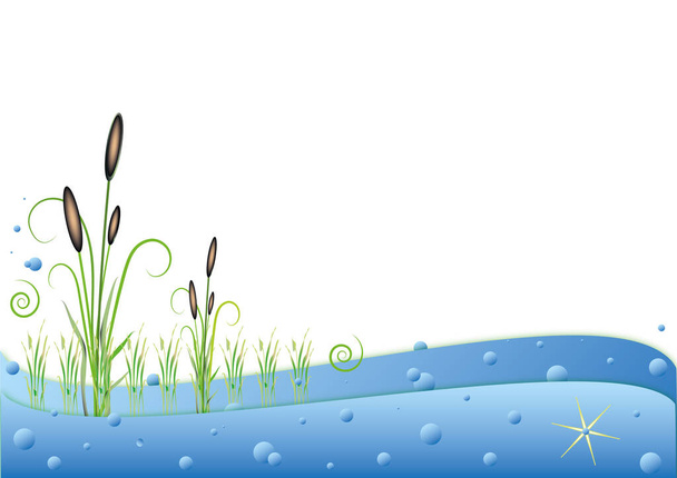 Bannière avec un motif d'eau de plantes aquatiques à fleurs. Fond blanc vierge avec vagues d'eau et tabac aquatique, espace pour le texte. Format vectoriel et jpg. - Vecteur, image