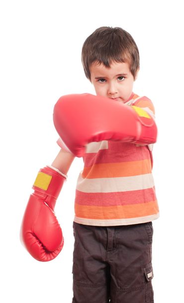 Little boxer attack - Foto, immagini