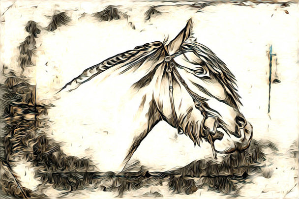 Freihand Pferdekopf Bleistift Zeichnung Illustrator Grunge - Foto, Bild