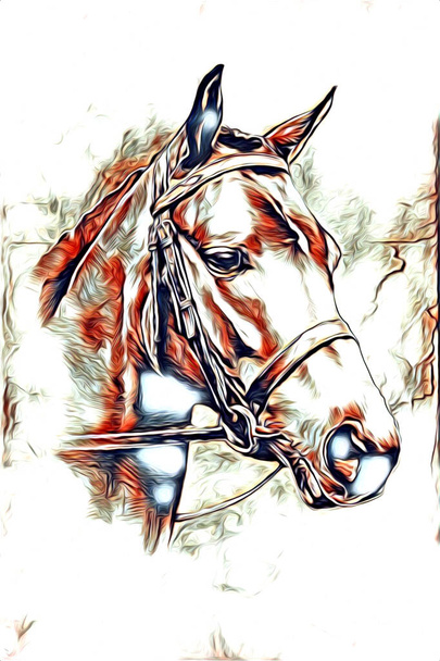mano alzada caballo cabeza lápiz dibujo ilustrador grunge
 - Foto, imagen