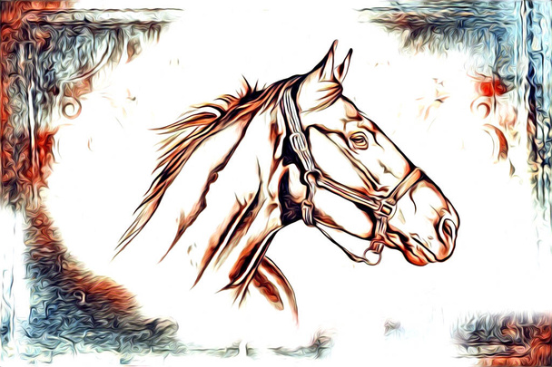 mano alzada caballo cabeza lápiz dibujo ilustrador grunge
 - Foto, imagen