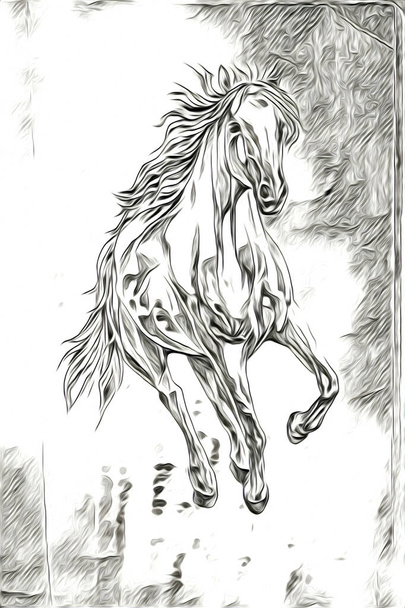 mano libera testa di cavallo matita disegno illustratore grunge
 - Foto, immagini