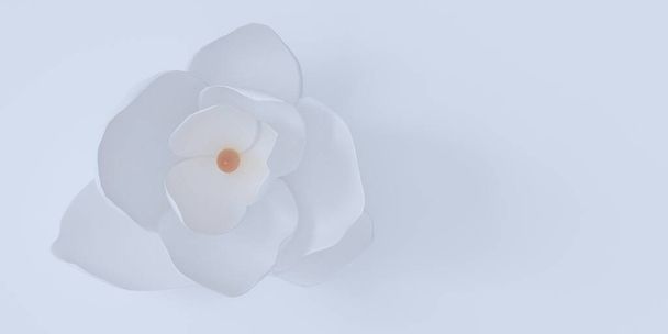 3D иллюстрация. Абстрактный фон. Фоновое изображение: цветок трехмерной магнолии белого цвета с изолированной тенью на светлом фоне. Обои, весна. - Фото, изображение
