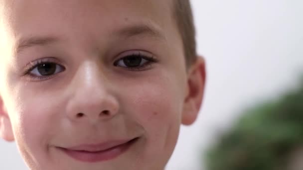 Egy hétéves fiú portréja, nagy szemekkel. A gyerek közelről nevet. - Felvétel, videó