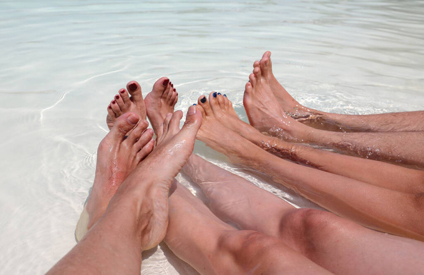 Suyun ortasında dinlenirken dört kişilik bir ailenin 2,5 metre uzağında. - Fotoğraf, Görsel