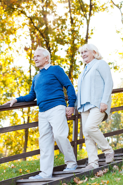 Happy senior couple moving down by wooden staircase - Foto, Bild