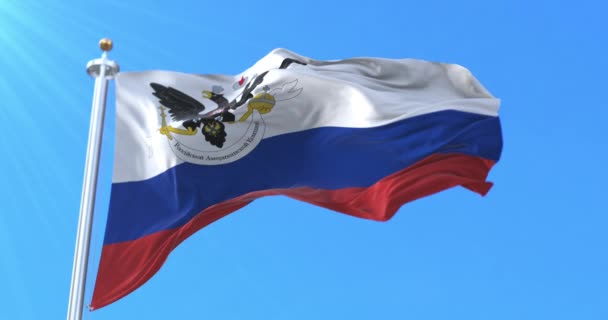 ロシア系アメリカ人の会社の旗。ループ - 映像、動画