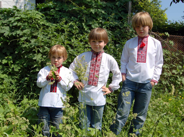 Дети мальчишки братья в украинских вышитых футболках вместе на природе летом  - Фото, изображение