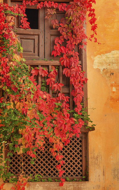 Alhambra Wall Window Fall Leaves Garden Granada Andalusia Spain - Foto, imagen