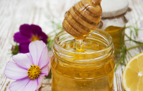 Honey with flowers - Photo, image
