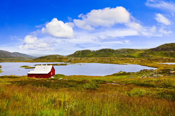 House in Buskerud region of Norway - Фото, изображение