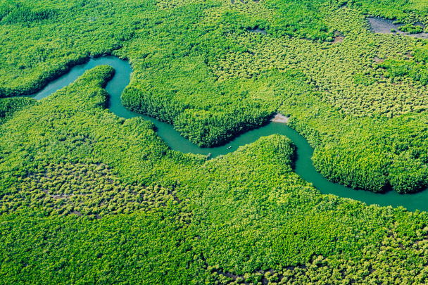 Ecosysteem en gezond milieu. Concepten en natuur achtergrond. Tropisch regenwoud. Bovenaanzicht vanuit de lucht.  - Foto, afbeelding