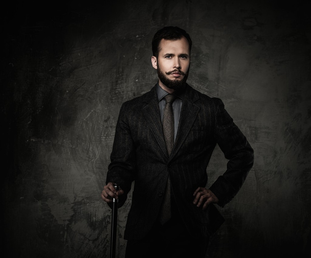 Handsome well-dressed man with walking stick  - Photo, Image