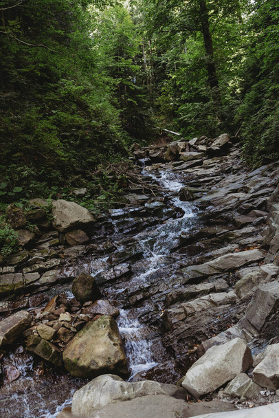 Mountain river flowing through the trees - Фото, зображення