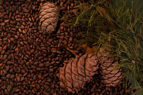 Jedlé cedrové borové šišky a ořechy. Přírodní potraviny pozadí  - Fotografie, Obrázek
