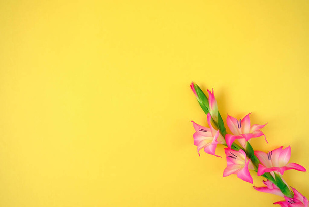 Lily flowers on yellow background. Spring concept. Copy space. Flat lay - Zdjęcie, obraz