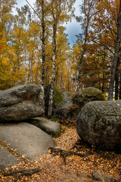 Mystic Landscape Of Nature Park Blockheide With Granite Rock Formations In Waldviertel In Austria - Foto, Imagem