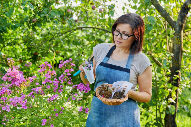 Woman in summer garden with collected dried flowers plant seeds in basket - Foto, immagini