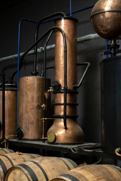 Productie van zoete cassis crème likeur en sterke draf van rijpe zwarte bessen, distillatie en rijping in houten vaten, Bourgogne, Frankrijk - Foto, afbeelding