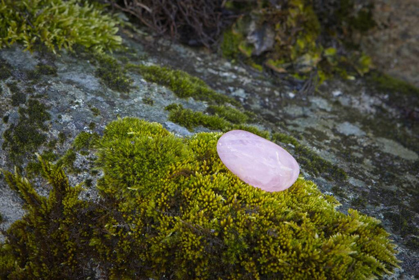 Różowa skała znaleziona na skrawku świeżego mchu na skale w Post Falls, Idaho. - Zdjęcie, obraz