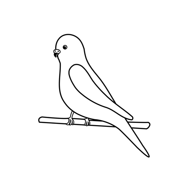 Budgerigar- logo egzotycznego ptasiego biznesu - Wektor, obraz