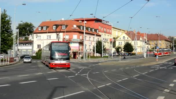Předávání tramvají městské ulici - automobily - budovy - Příroda (stromů) - slunečno - Záběry, video