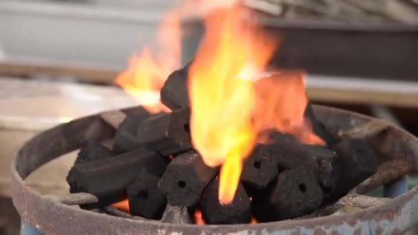 Κάρβουνο με φλόγα - Πλάνα, βίντεο