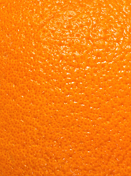 Texture of orange peel - Photo, Image