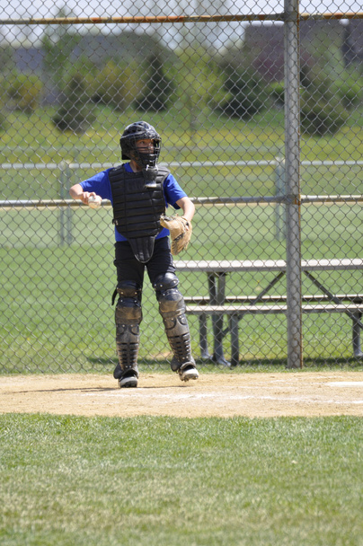 Little league baseball catcher - Photo, Image