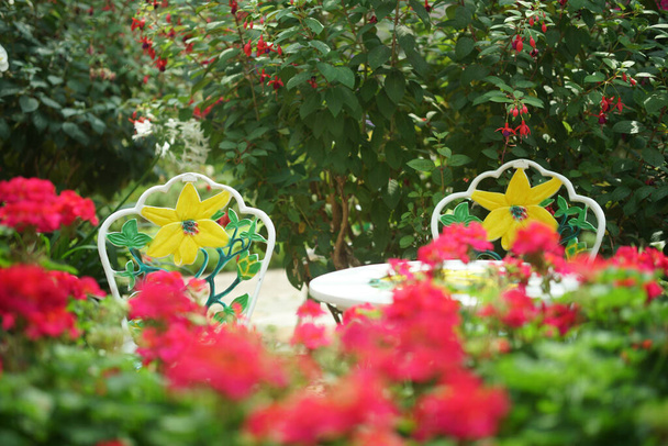 metalli istuin tuoli kukka puutarha puistossa keväällä kesällä - Valokuva, kuva