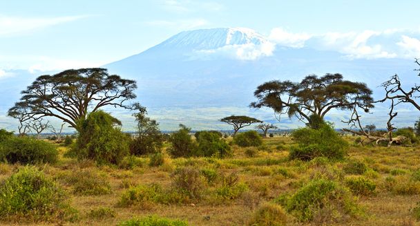  Килиманджаро
  - Фото, изображение
