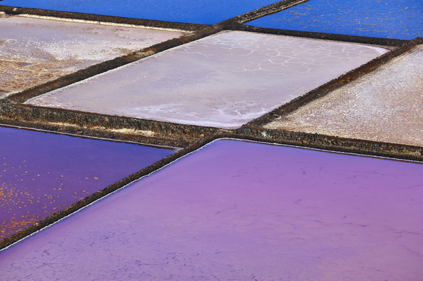 塩製油所、janubio、ランサローテ島から生理食塩水 - 写真・画像